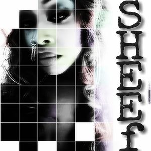 Meet your Posher, Sheef